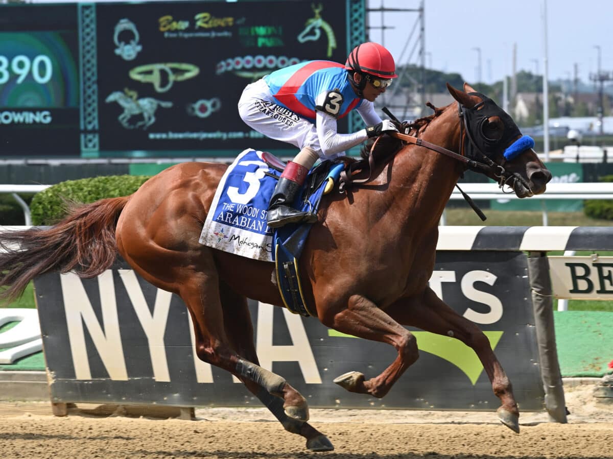 Arabian Lion | 2023 Woody Stephens-G1 at Belmont | NYRA photo