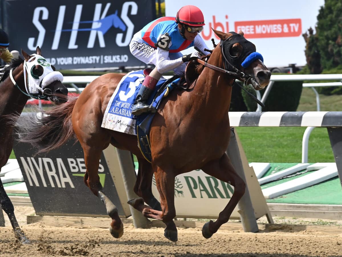 Arabian Lion | 2023 Woody Stephens-G1 at Belmont | NYRA photo