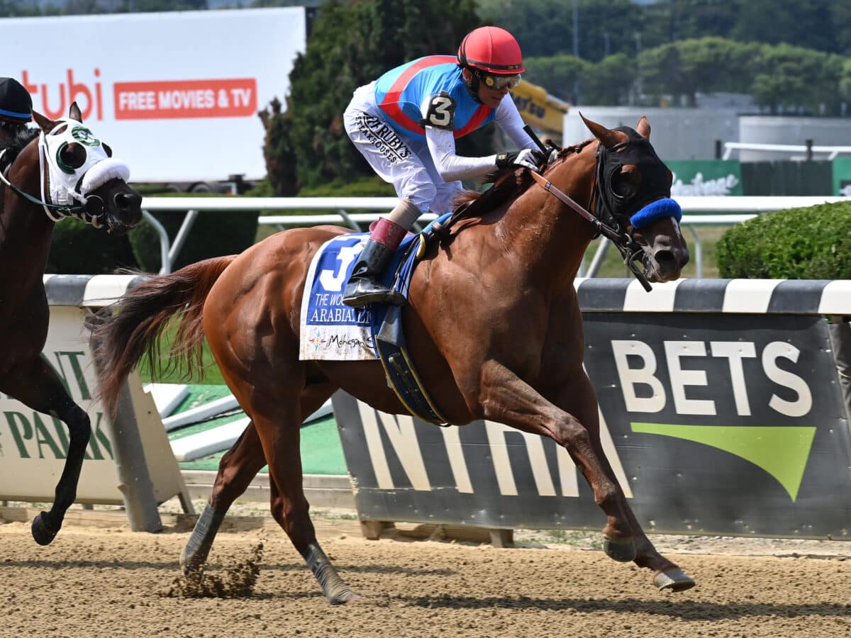 Arabian Lion | 2023 Woody Stephens-G1 at Belmont | NYRA photo