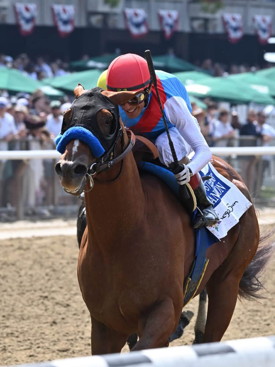 Arabian Lion | 2023 Woody Stephens-G1 at Belmont | NYRA photo