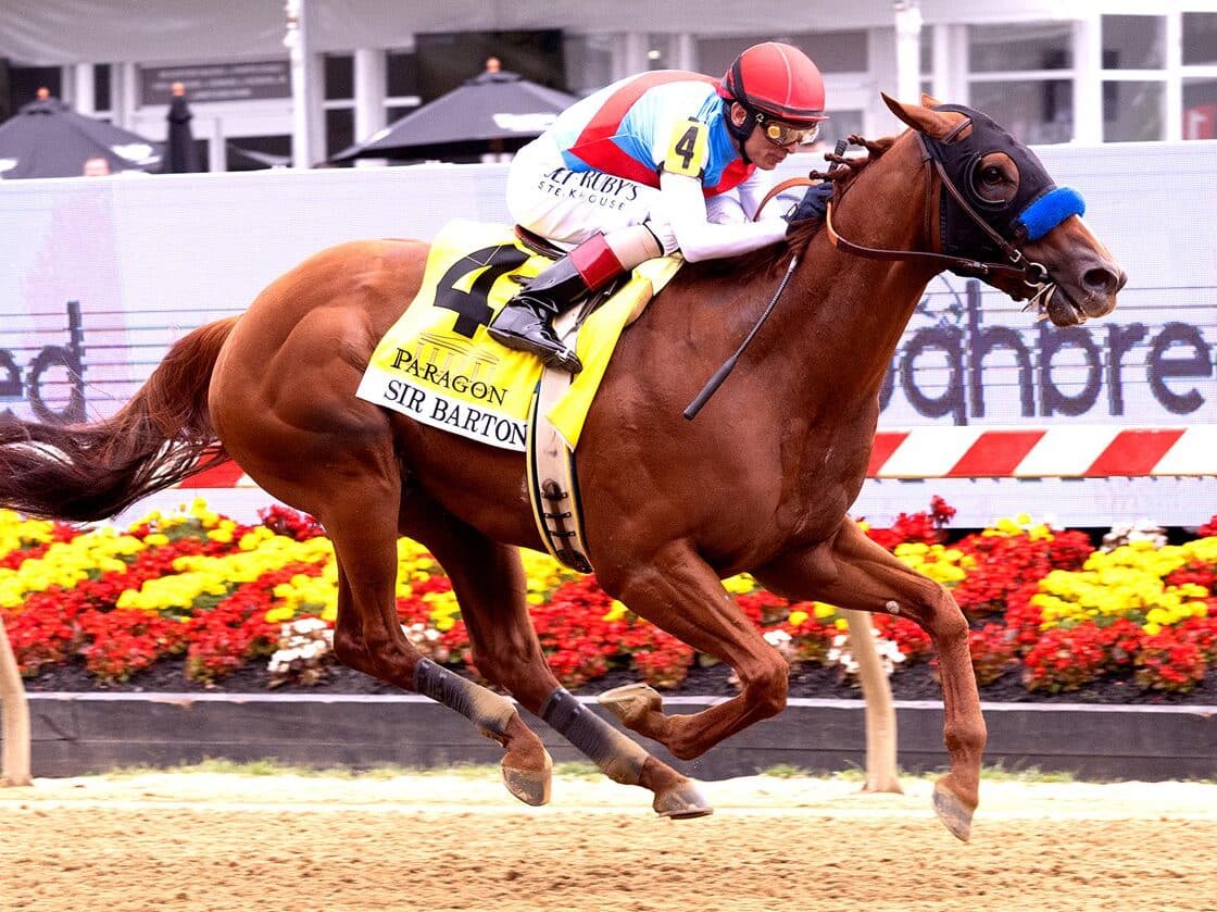 Arabian Lion | 2023 Sir Barton Stakes on Preakness Day | MJC photo