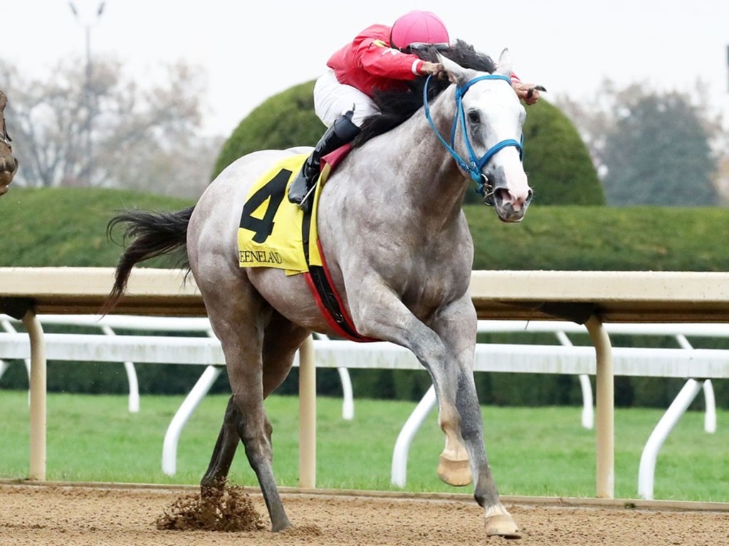 2yo colt Glengarry wins his second straight stakes in the 2023 Bowman Mill S. at Keeneland | Coady photo