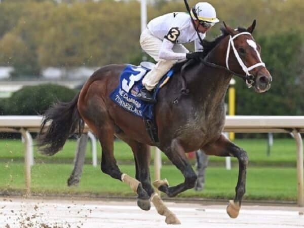 Timberlake gets his first graded win in the Champagne S. (G1) - NYRA photo