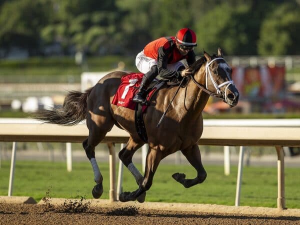 Sandy Bottom and jockey Umberto Rispoli win the $85,000 Anoakia Stakes Saturday, October 21, 2023 at Santa Anita Park, Arcadia, CA. Benoit Photo