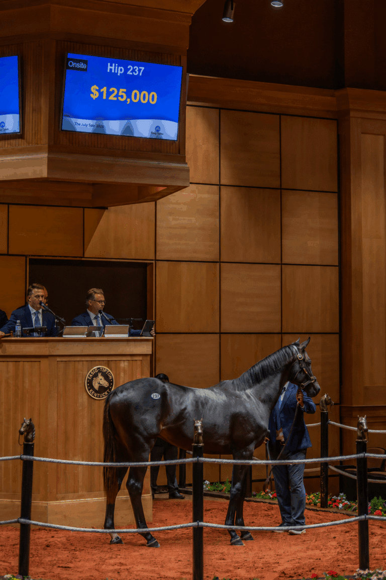 Colt o/o Artisticdifference sells for $125,000 at F-T July | Kendall Wucker