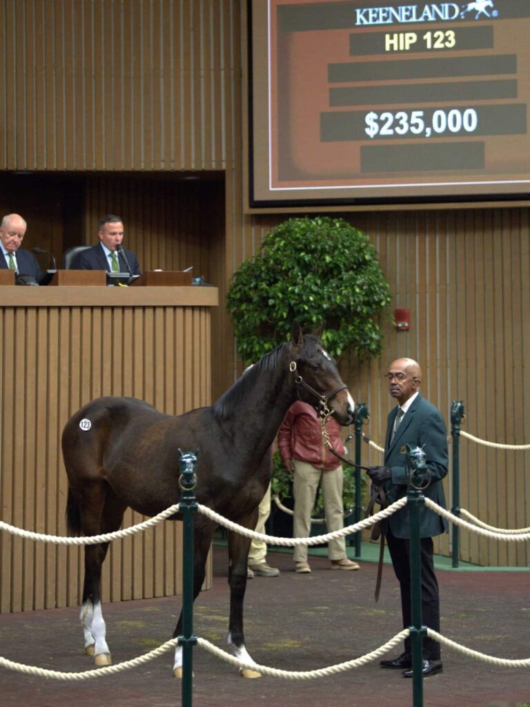 $235,000 weanling at KEENOV | Colt o/o Live the Moment | Purchased by MWG | Kendall Wucker photo