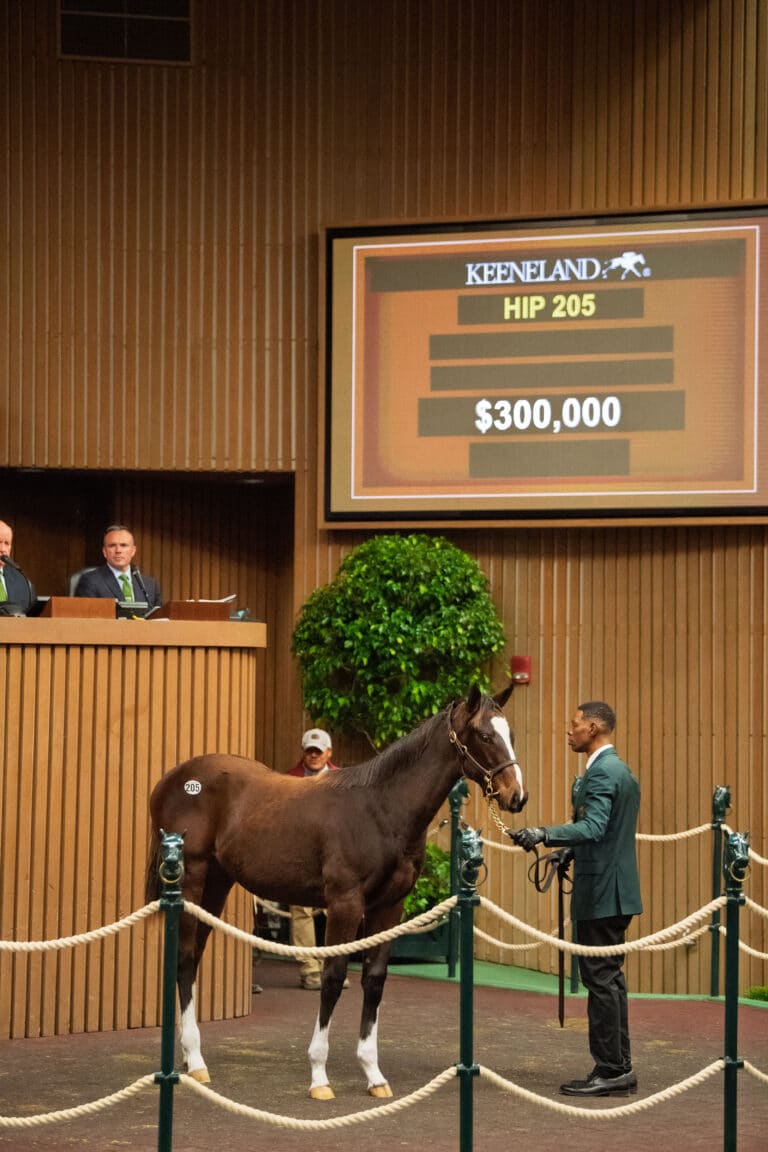 $300,000 weanling at KEENOV | Filly o/o Spirit Dance | Purchased by Brenam Bloodstock | Kendall Wucker photo