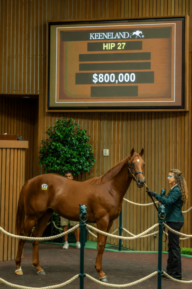 Hip 27, a colt o/o Sianara sells to Greenwell Thoroughbred LLC for $800,000 at the KeeSept sale | Kendall Wucker