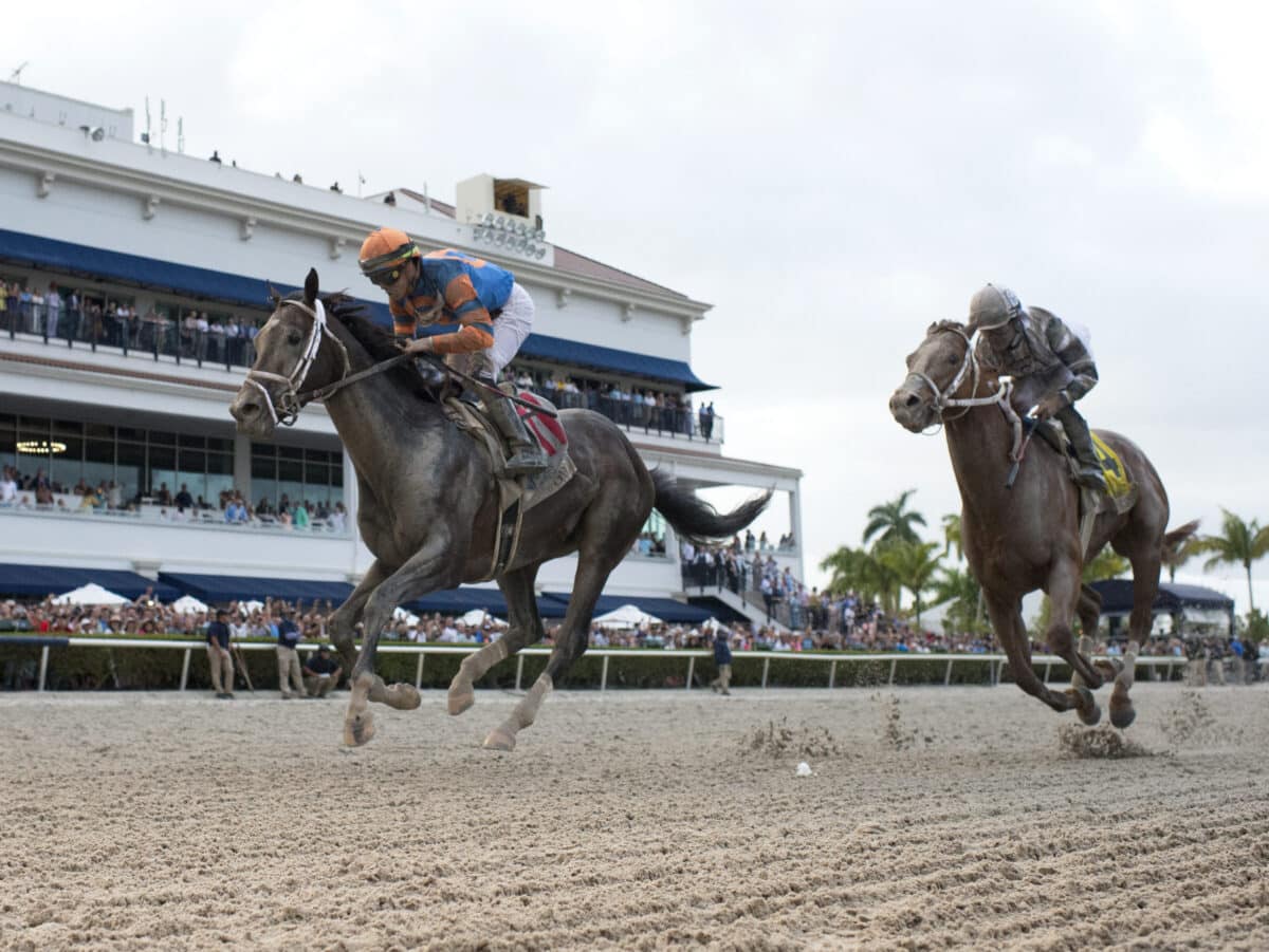 Forte | 2023 Florida Derby-G1 | Coglianese photo