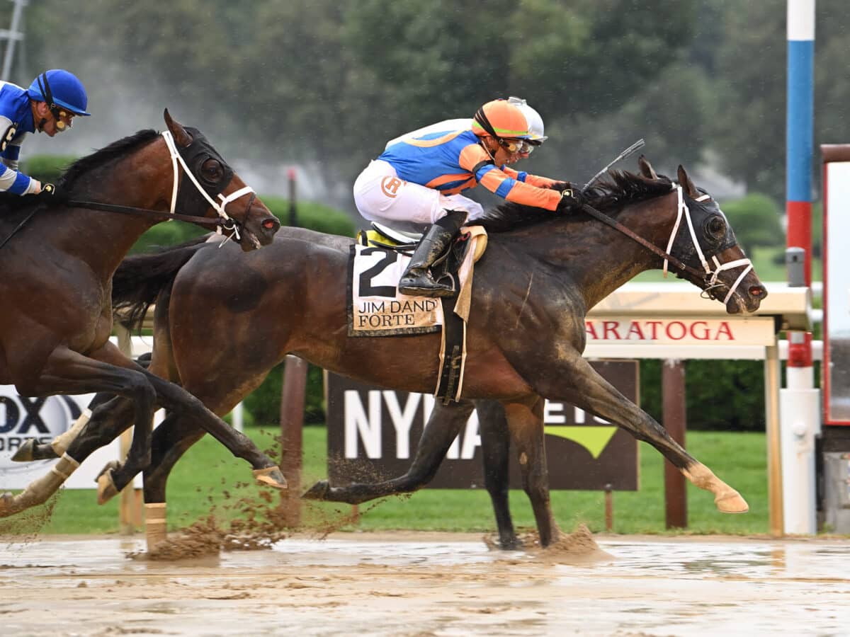 Forte | 2023 Jim Dandy-G2 | NYRA photo