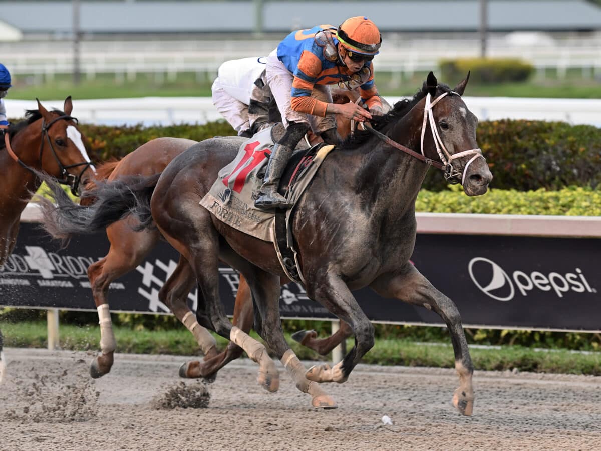 Forte | 2023 Florida Derby-G1 | Coglianese photo