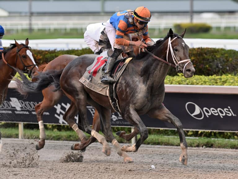 Forte | 2023 Florida Derby-G1 | Coglianese photo