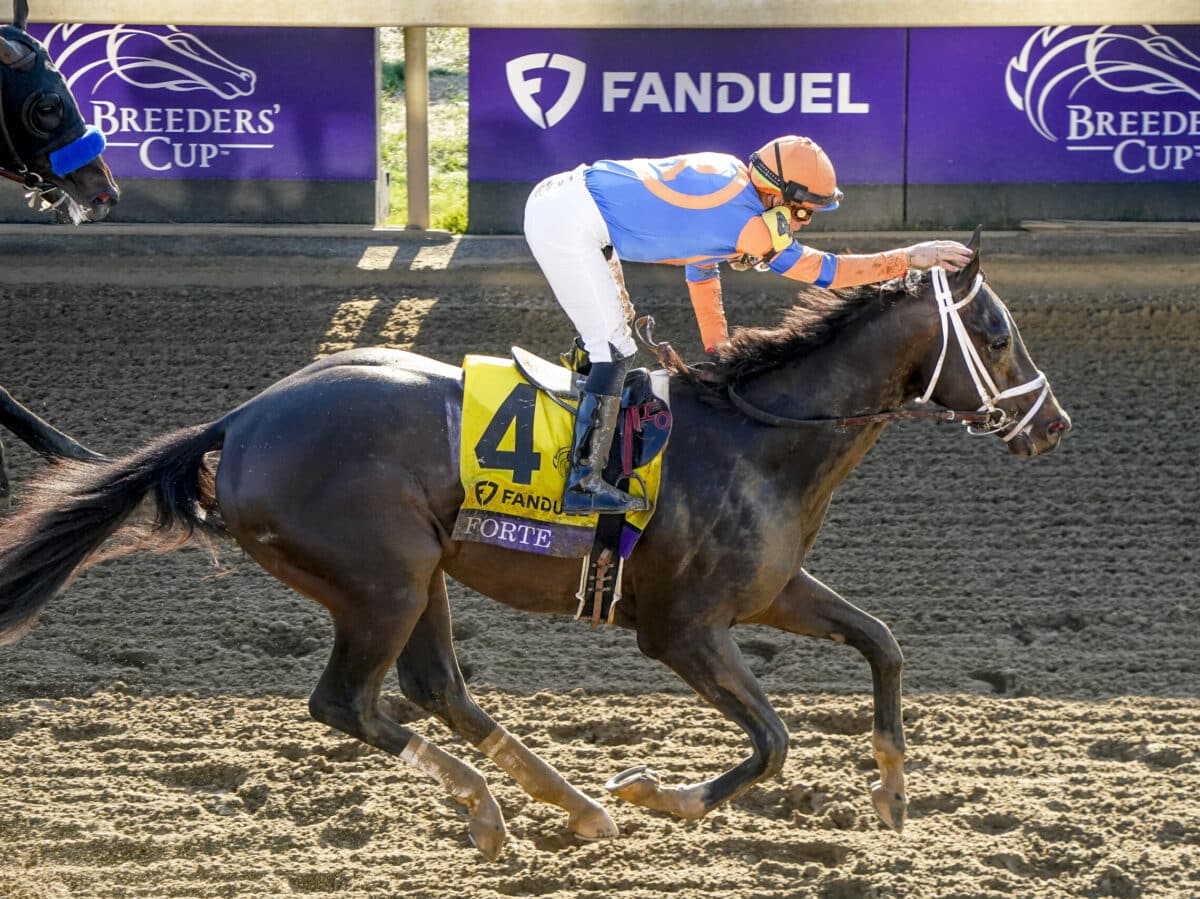 Forte | 2022 Breeders' Cup Juvenile-G1 | Breeders’ Cup/Eclipse Sportswire Photo ©