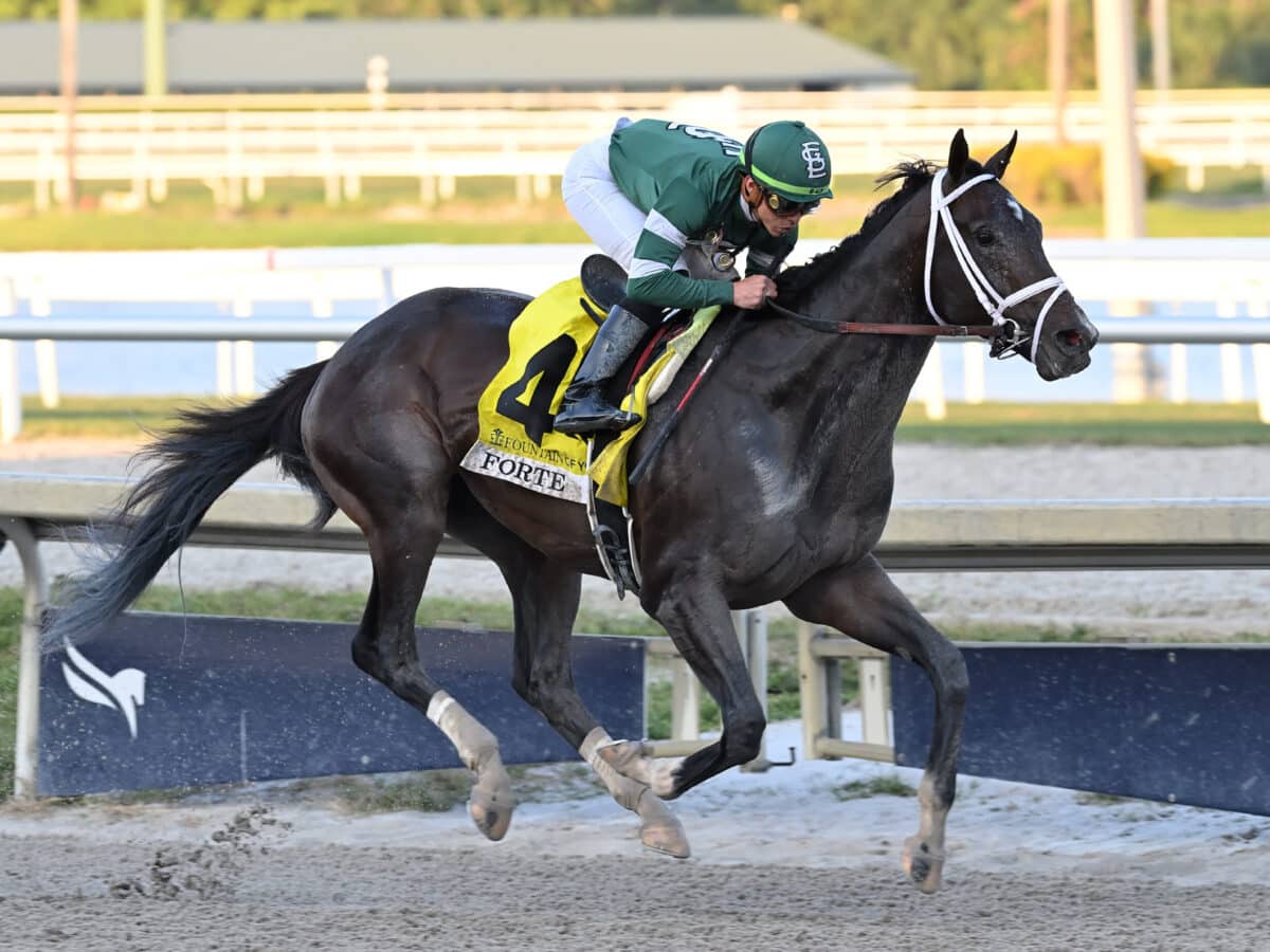 Forte | 2023 Fountain of Youth-G2 | Coglianese photo