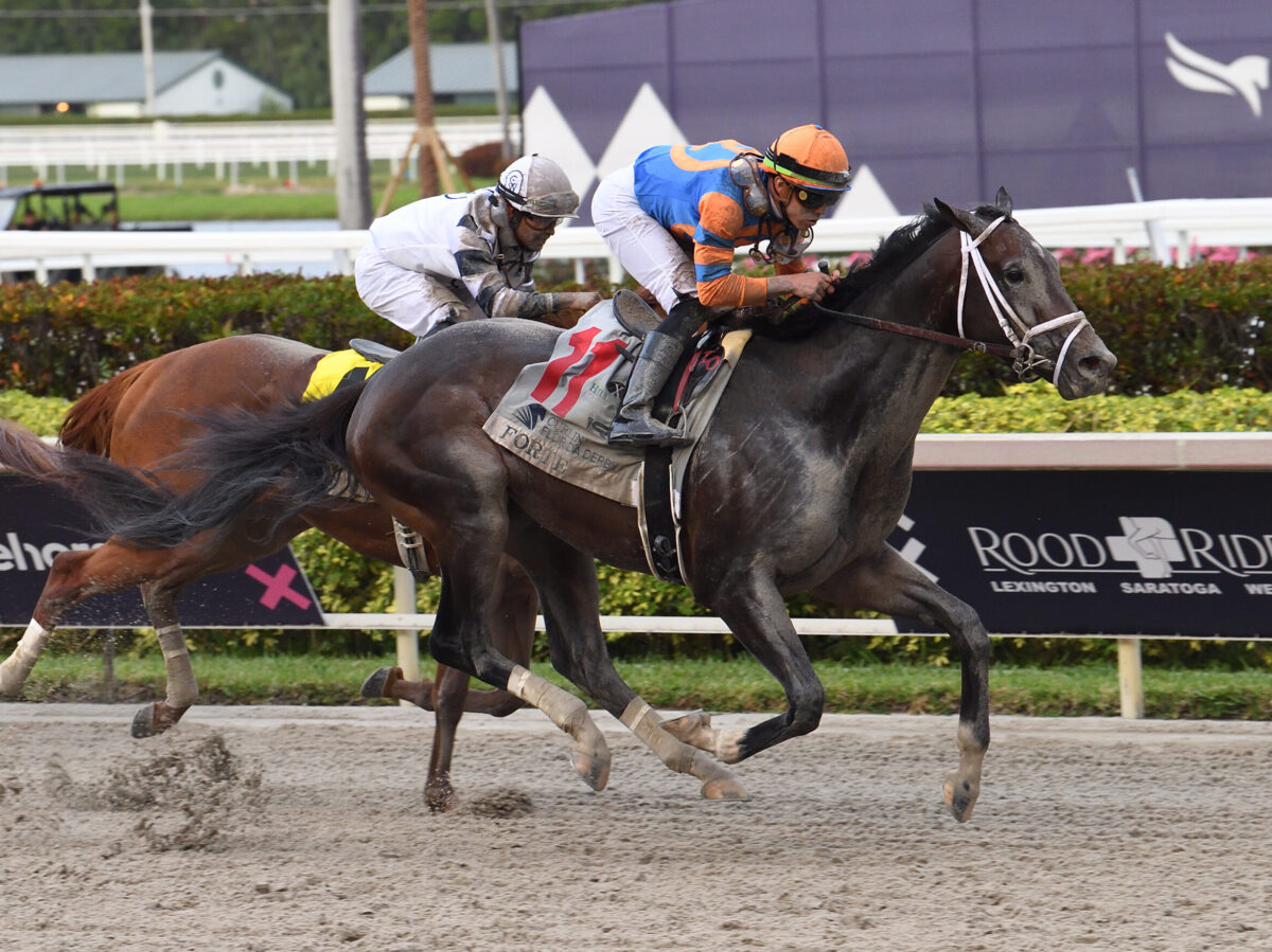 Forte | 2023 Florida Derby-G1 | Coglianese photo