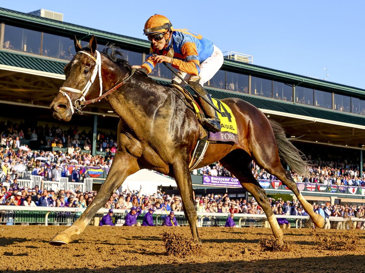 Forte | 2022 Breeders' Cup Juvenile-G1 | Breeders’ Cup/Eclipse Sportswire Photo ©