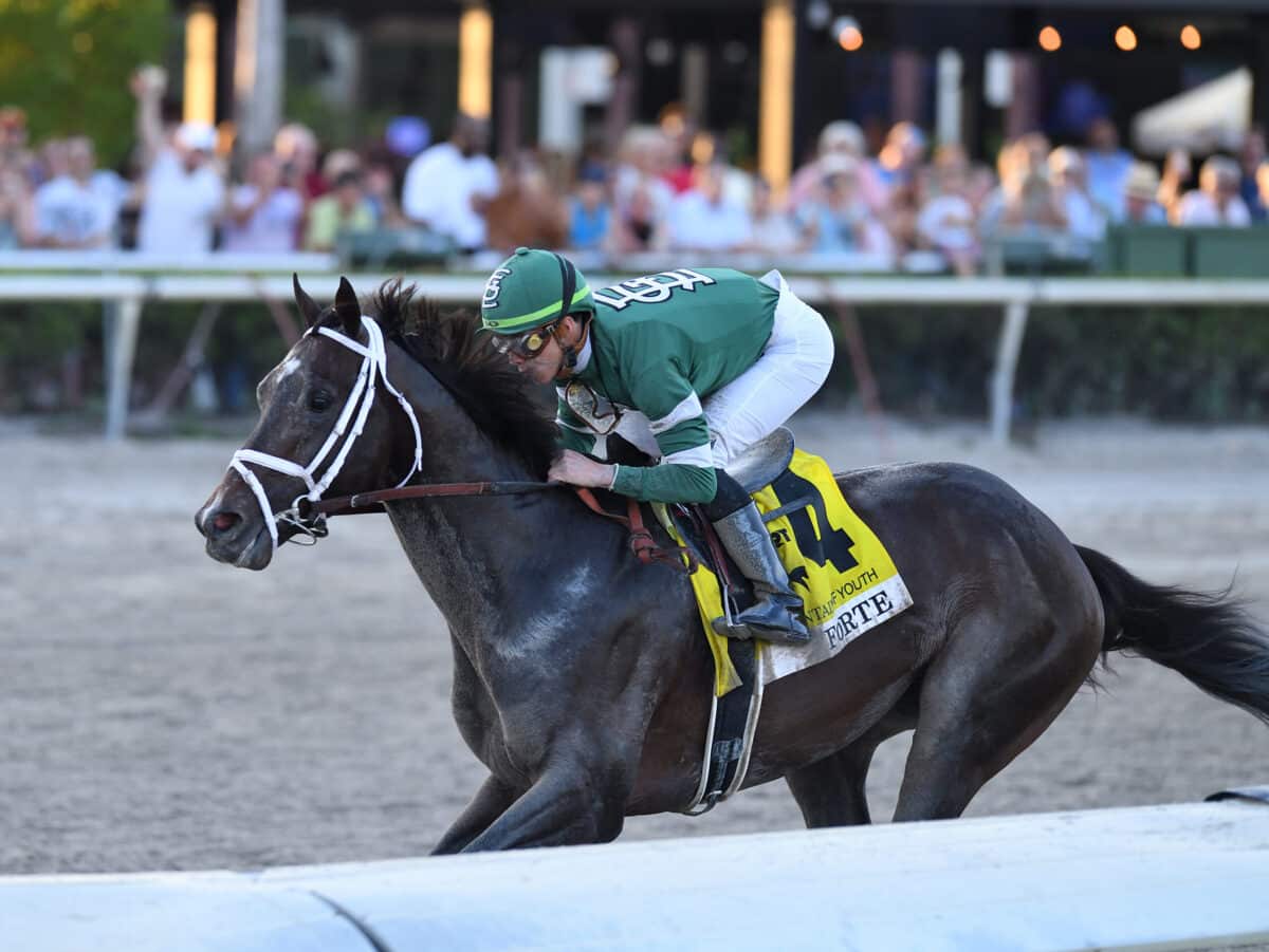 Forte | 2023 Fountain of Youth-G2 | Coglianese photo