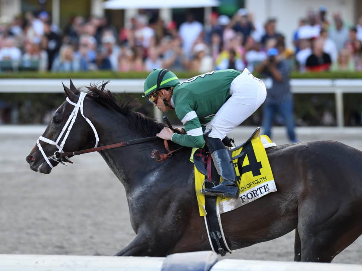 Forte | 2023 Fountain of Youth-G2 | Coglianese photo