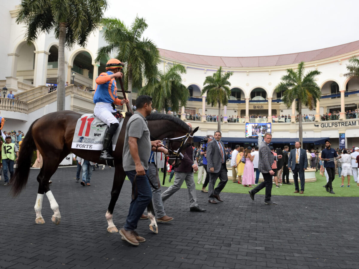 Forte | 2023 Florida Derby-G1 | Coglianese photo