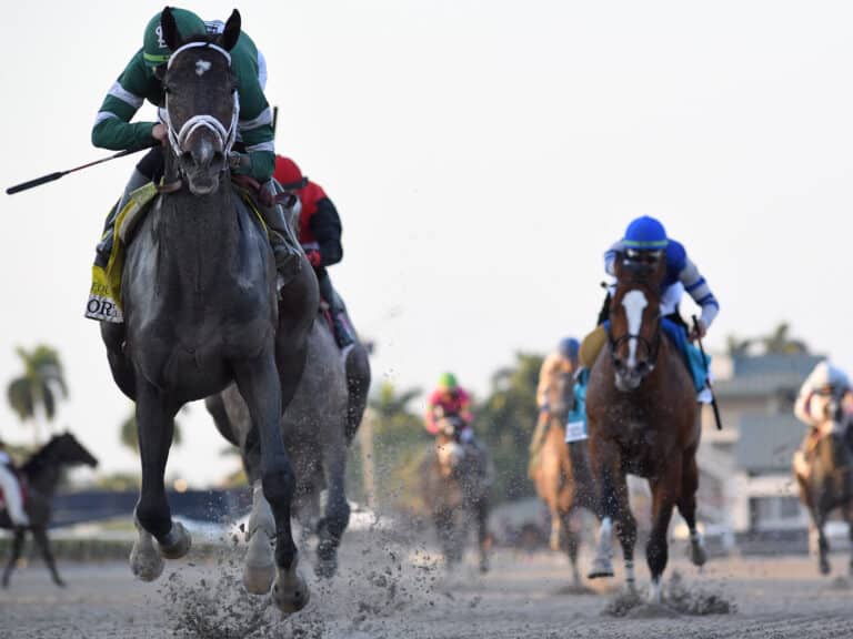 Forte | 2023 Fountain of Youth-G2 | Coglianese photo