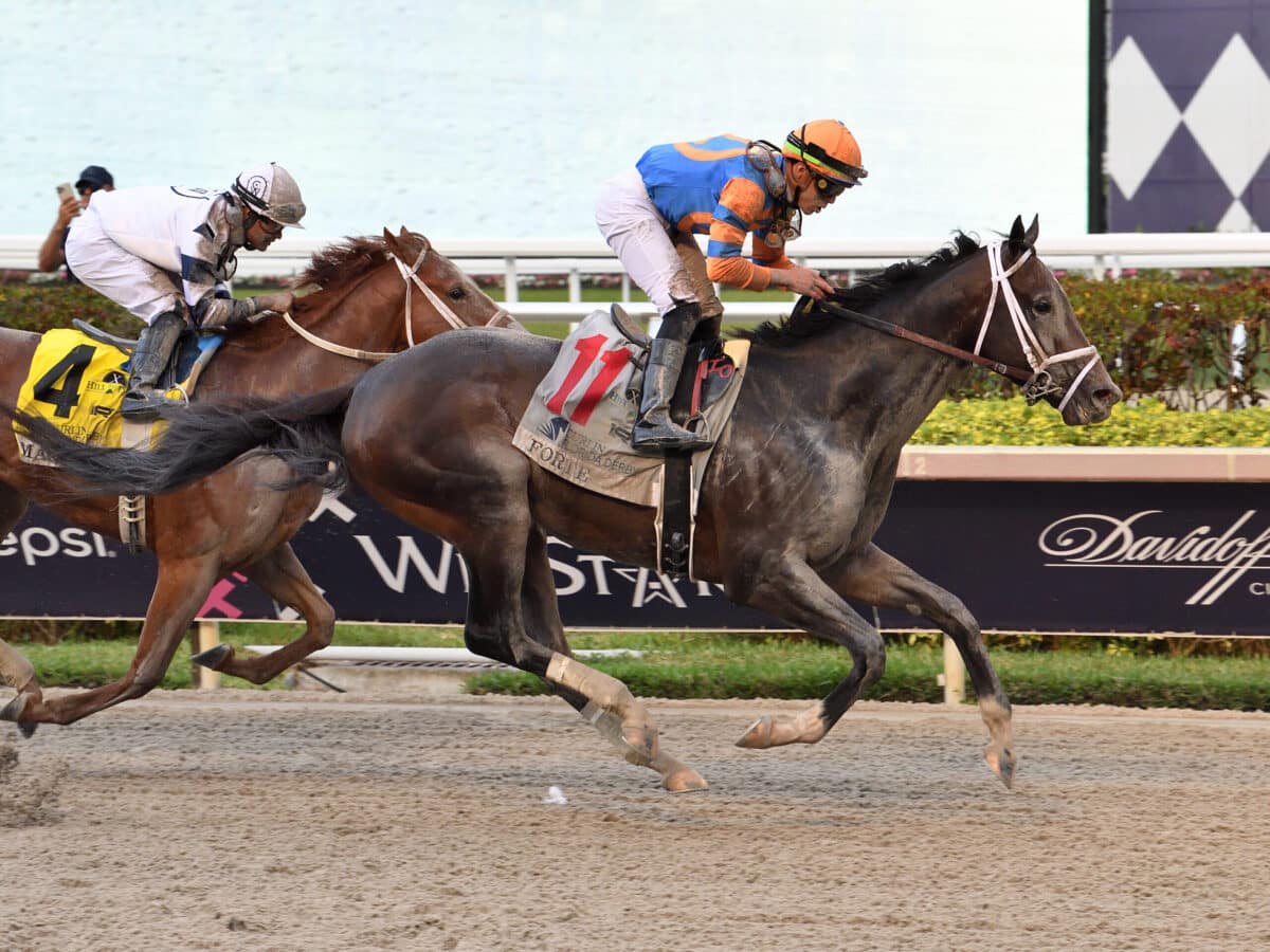 Forte | 2023 Florida Derby-G1 | Coglianese photo