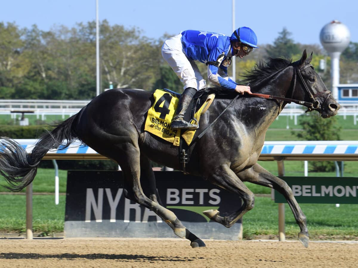 Zandon | 2023 Woodward S. (G2) at Aqueduct | NYRA photo