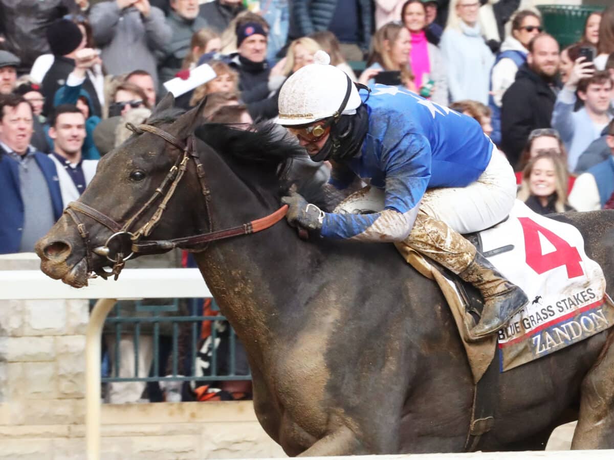 Zandon | 2022 Blue Grass S. (G1) at Keeneland | Coady photo