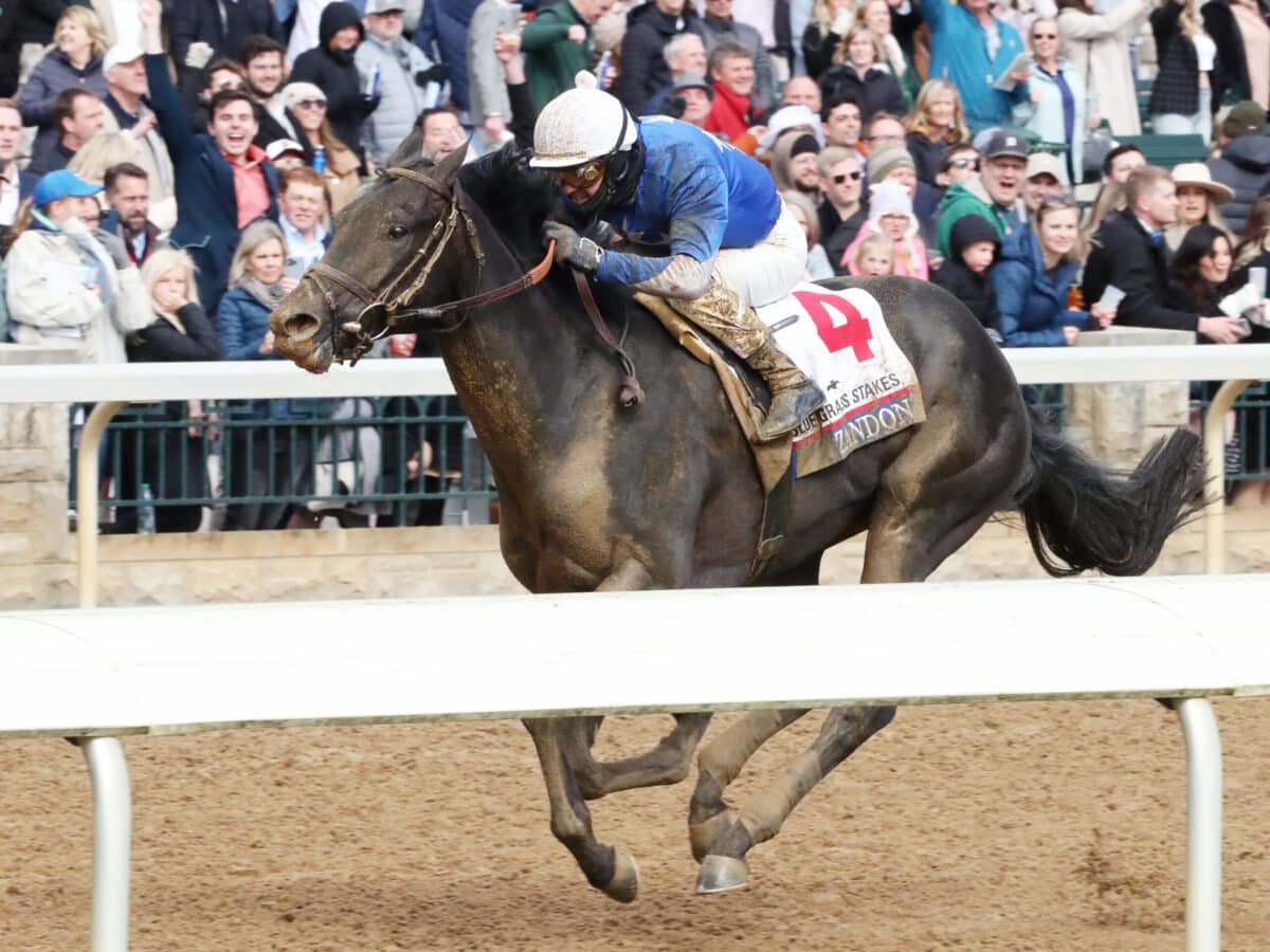 Zandon | 2022 Blue Grass S. (G1) at Keeneland | Coady photo