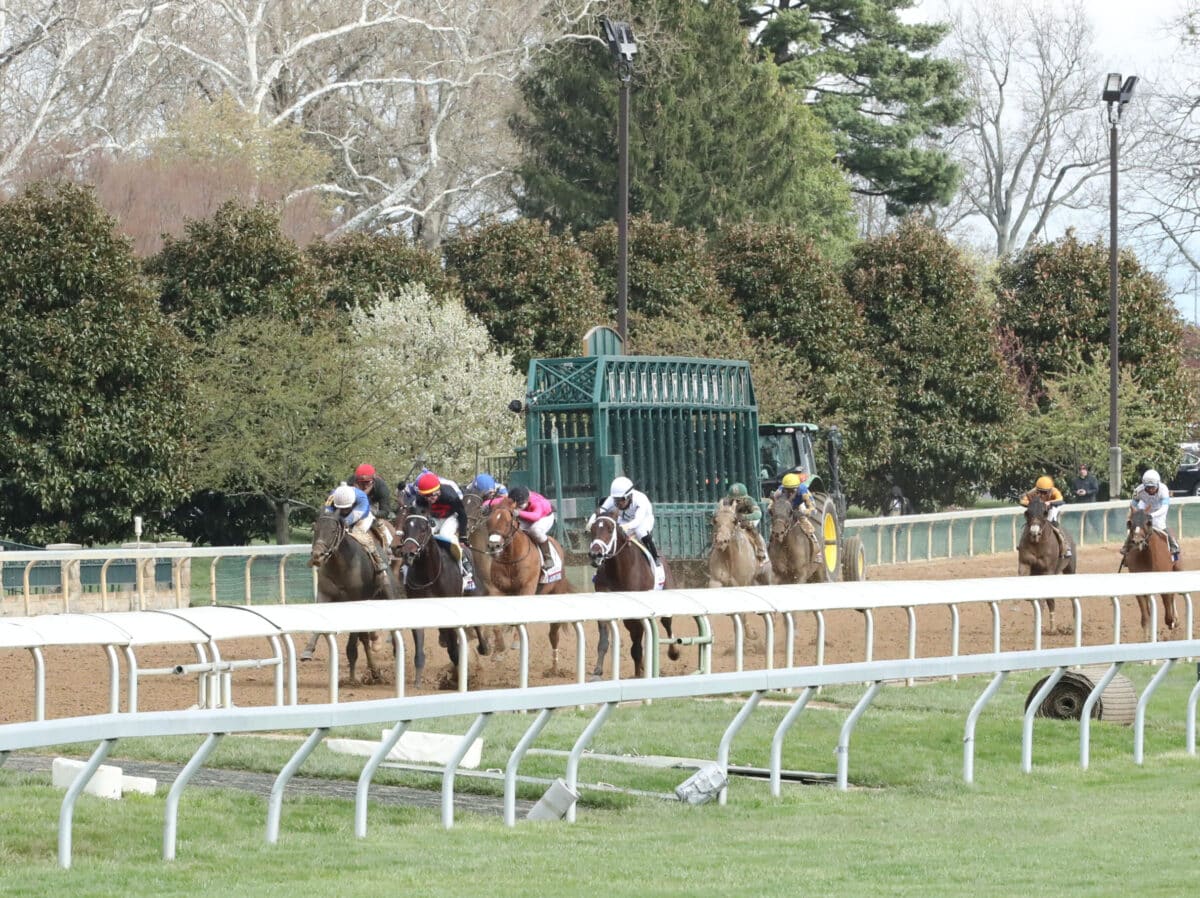 Zandon | 2022 Blue Grass S. (G1) at Keeneland | Coady photo