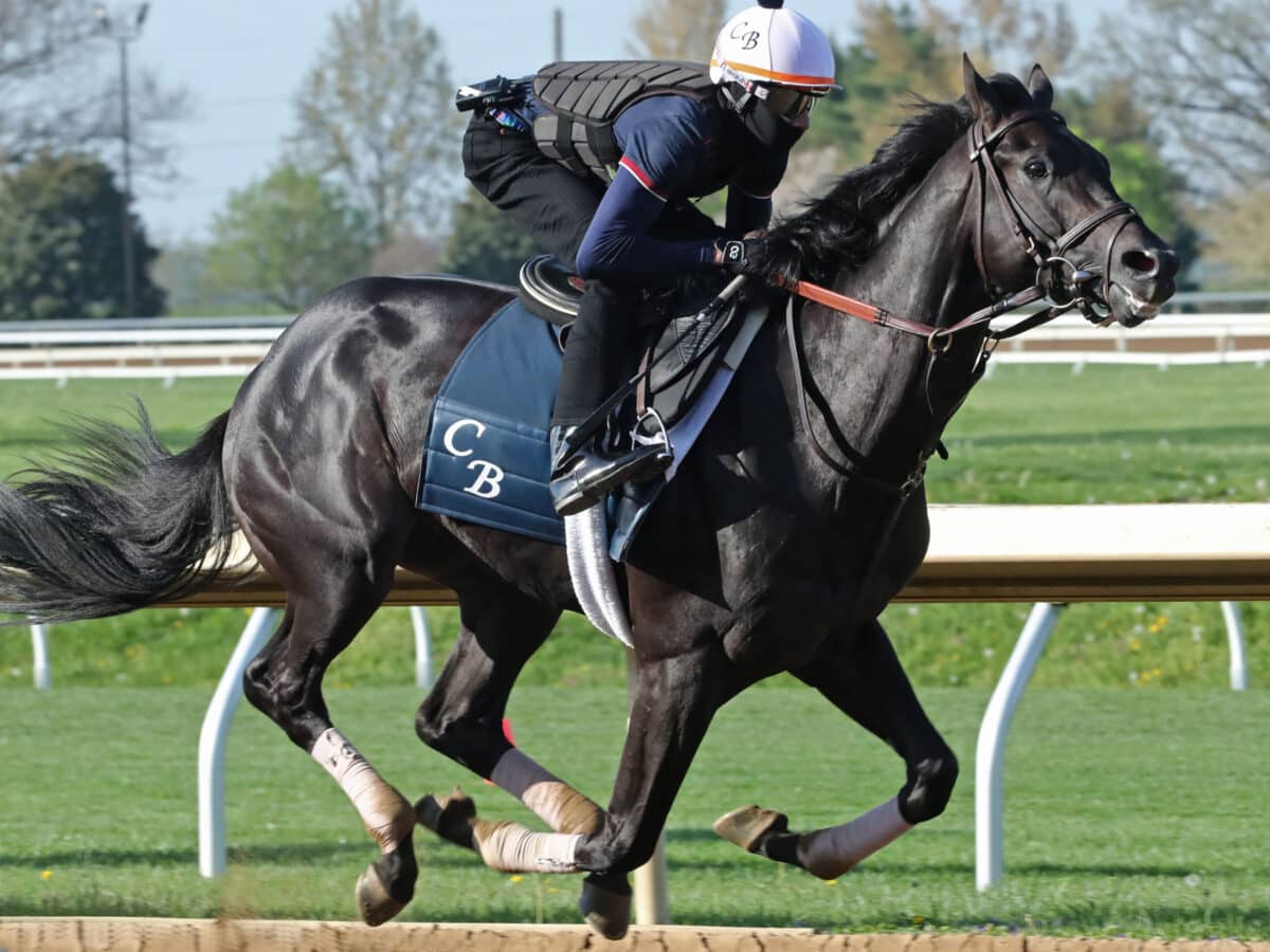 Zandon | 2022 at Keeneland | Coady photo