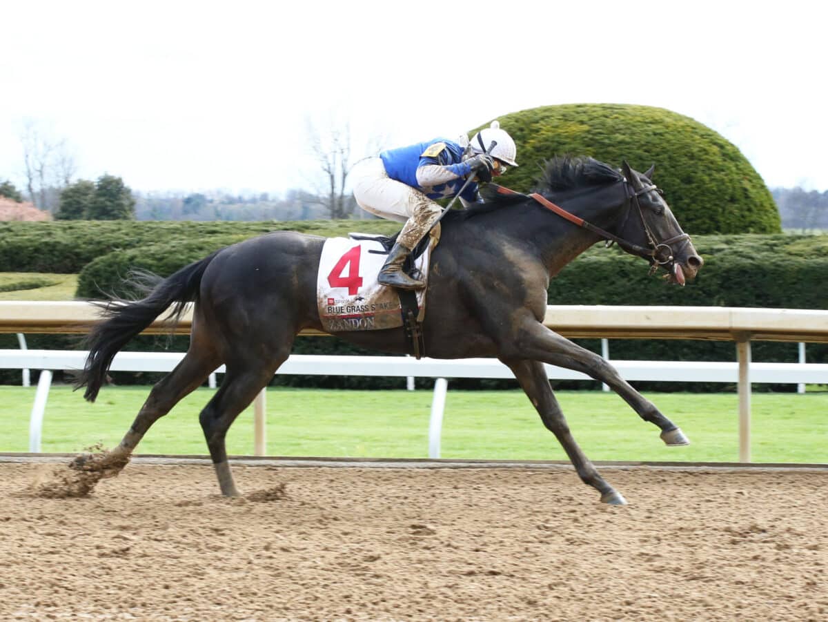 Zandon | 2022 Blue Grass S. (G1) at Keeneland | Coady photo