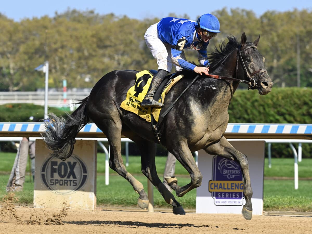 Zandon | 2023 Woodward S. (G2) at Aqueduct | NYRA photo