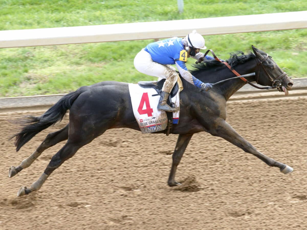 Zandon | 2022 Blue Grass S. (G1) at Keeneland | Coady photo