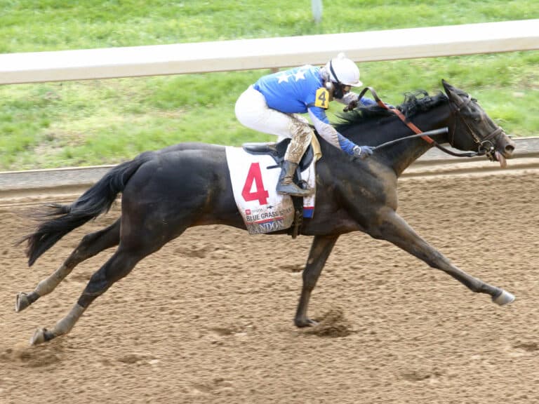 Zandon | 2022 Blue Grass S. (G1) at Keeneland | Coady photo