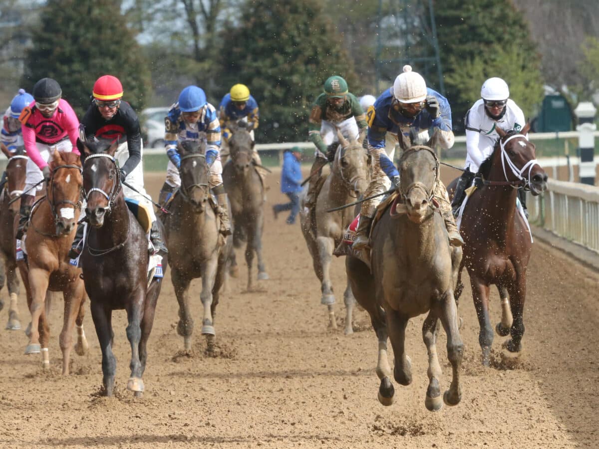 Zandon | 2022 Blue Grass S. (G1) at Keeneland | Coady photo