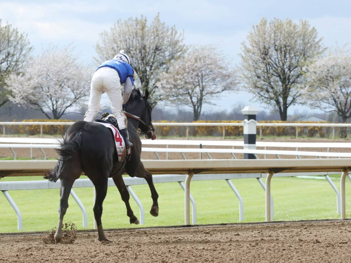 Zandon | 2022 Blue Grass S. (G1) at Keeneland | Coady photo