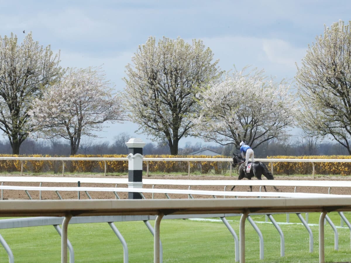 Zandon | 2022 Blue Grass S. (G1) at Keeneland | Coady photo