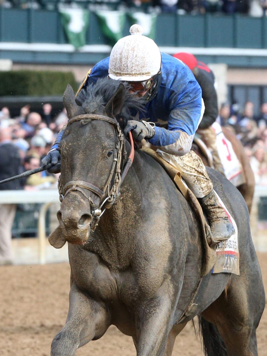 Zandon | 2022 Blue Grass S. (G1) at Keeneland | Coady photo