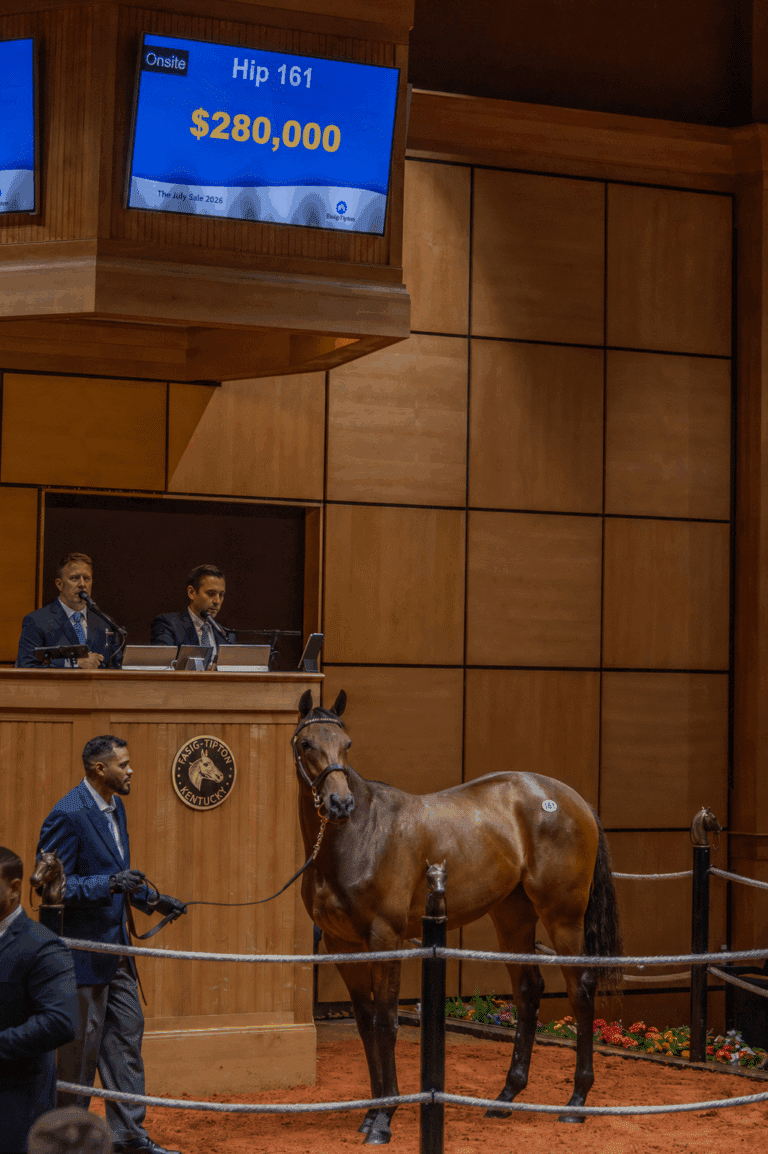 Filly by Forte o/o Screaming Skylar sells for $280,000 at the F-T July Sale | Kendall Wucker