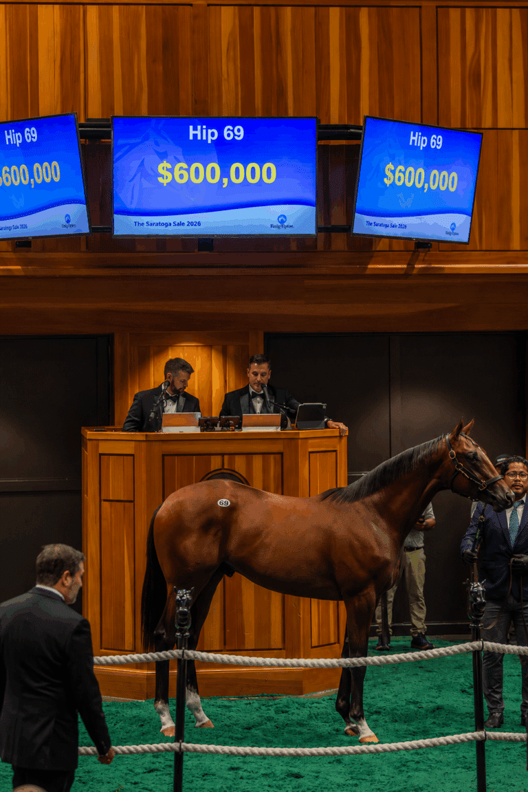 Hip 69, a colt by Forte o/o Sea Song sells for $600,000 to St Elias & Partners | Kendall Wucker Photo