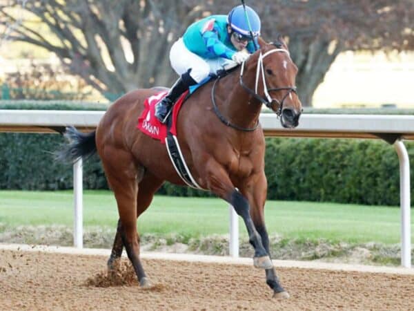 High Class gets her first stakes win in the $150,000 Poinsettia S. at Oaklawn Park - Coady photography