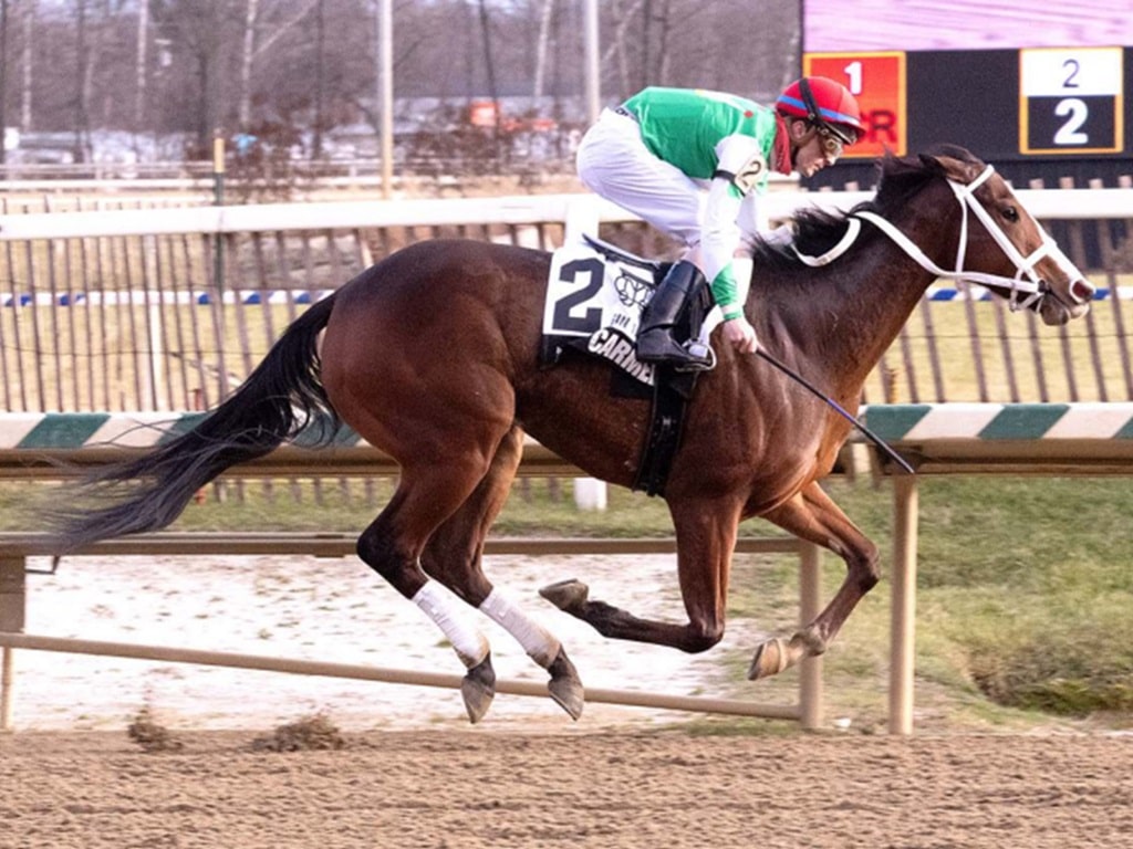 2yo filly Carmelina cruises to victory in the 2023 Gin Talking S. at Laurel | Jim McCue photo