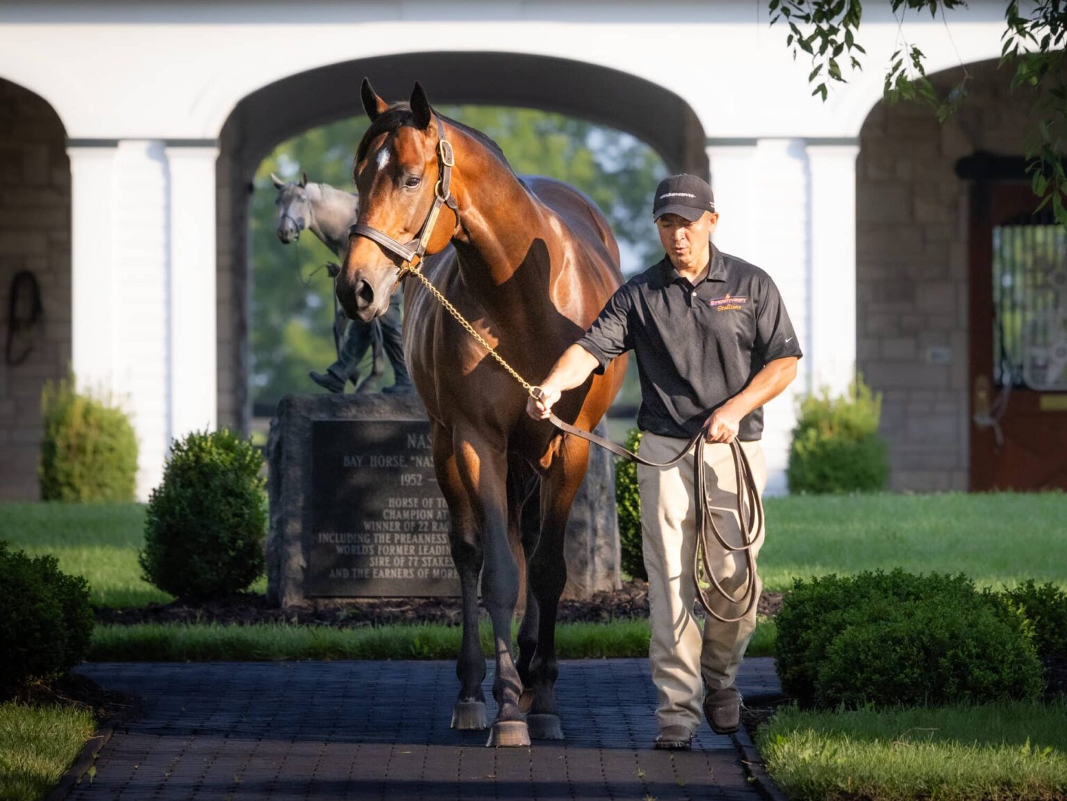 First foal is a colt for classic winner Mo Donegal Spendthrift A