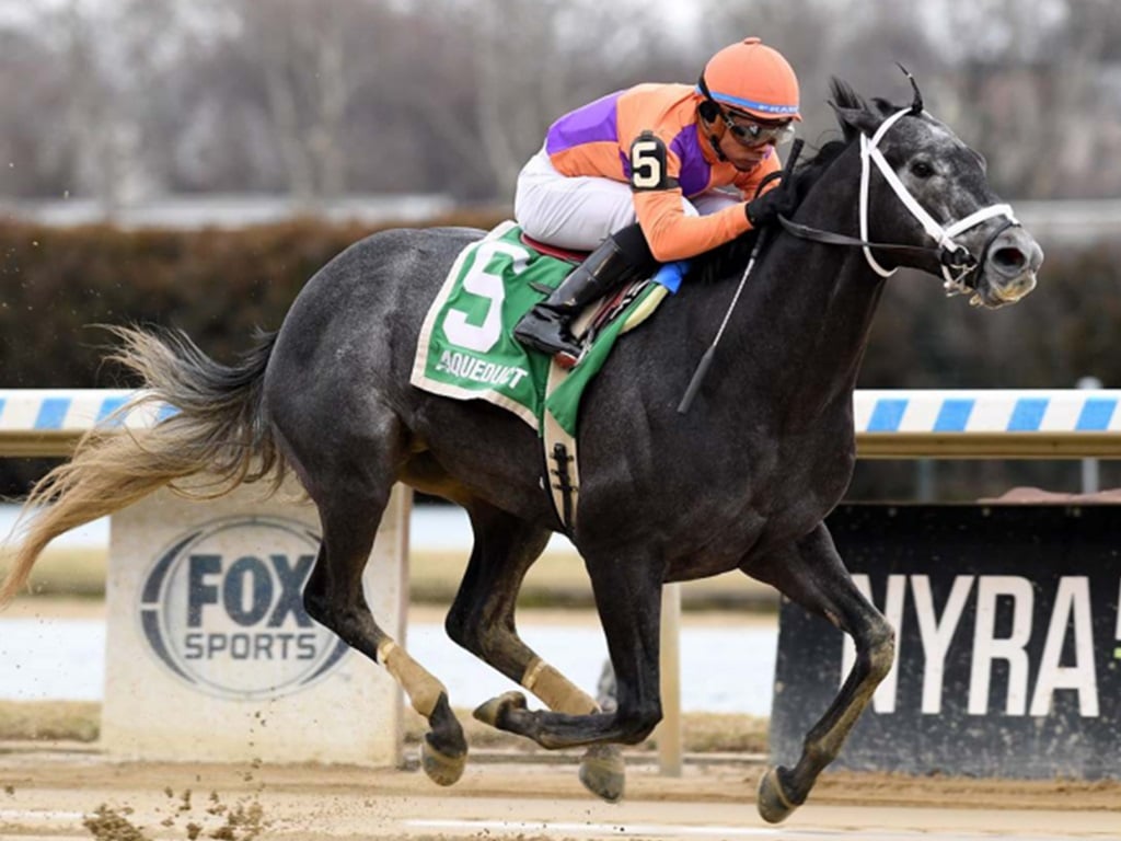 Bergen bounds to victory in the Jimmy Winkfield S. - Chelsea Durand/NYRA