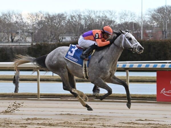 Tuscan Sky coasts to victory in his career debut - NYRA photo