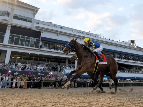 Multiple G1 winner National Treasure is leading sire Quality Road's only classic winner to date | Coglianese photo