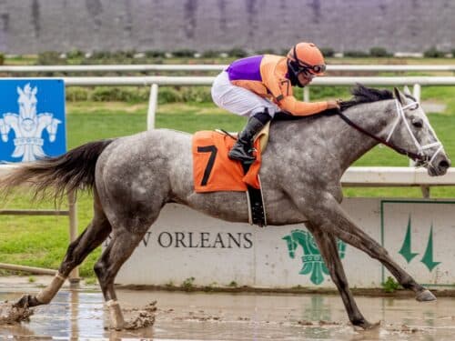 Tuscan Sky scores in a Feb. 17 allowance race at Fair Grounds - Hodges photography