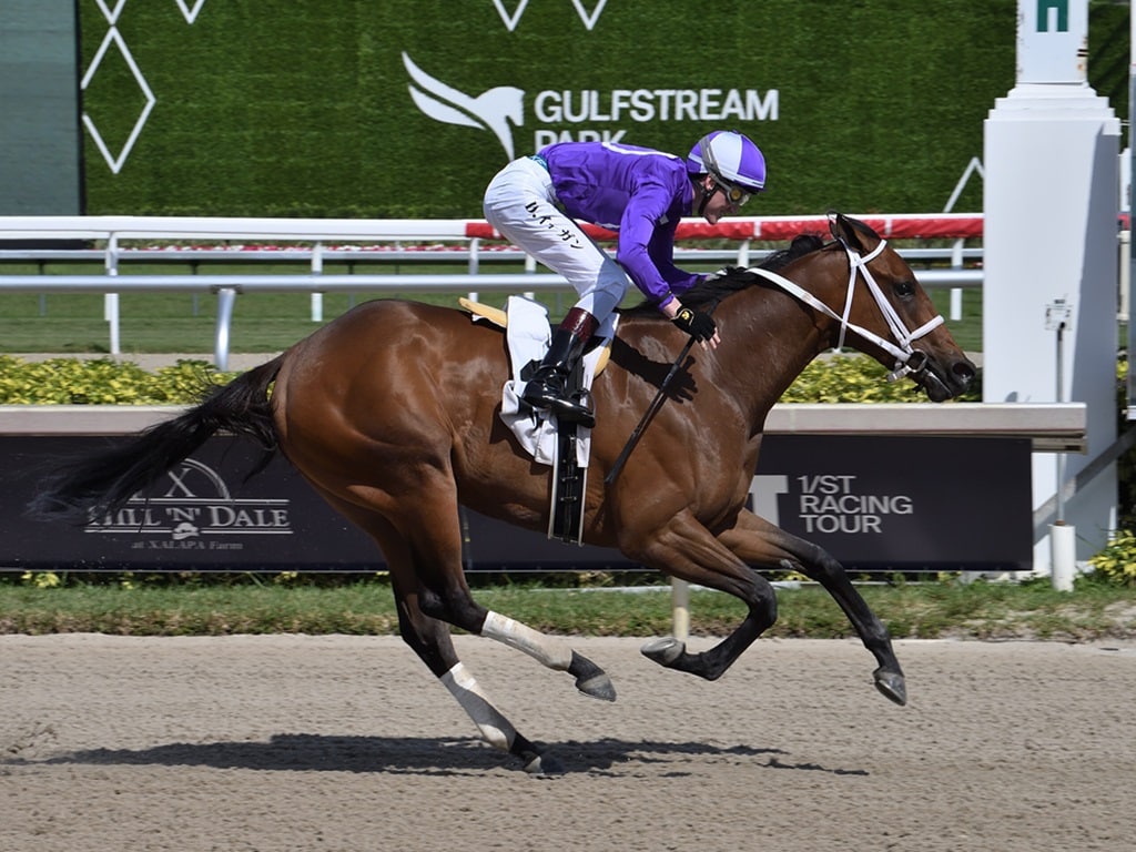 3yo filly Launch wins the 2024 Any Limit S. at Gulfstream | Lauren King photo