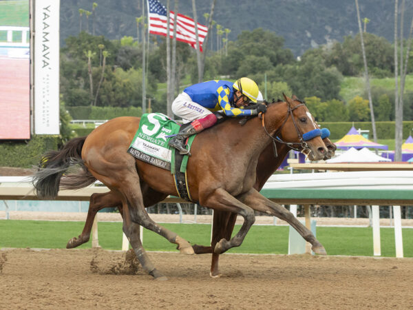 Newgate proves best in the 1 1/4-mile Santa Anita Handicap (G1) under Frankie Dettori | Benoit photo