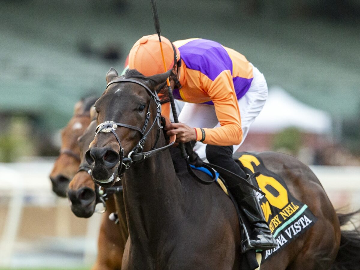 First-crop multiple GSW Ruby Nell wins the 2024 Buena Vista S. (G2) at Santa Anita Park | Benoit photo